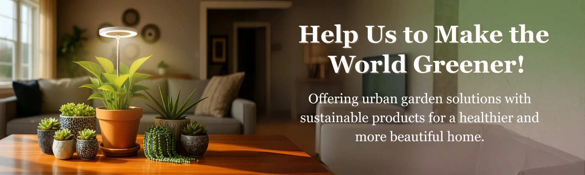 Welcome to Our Store