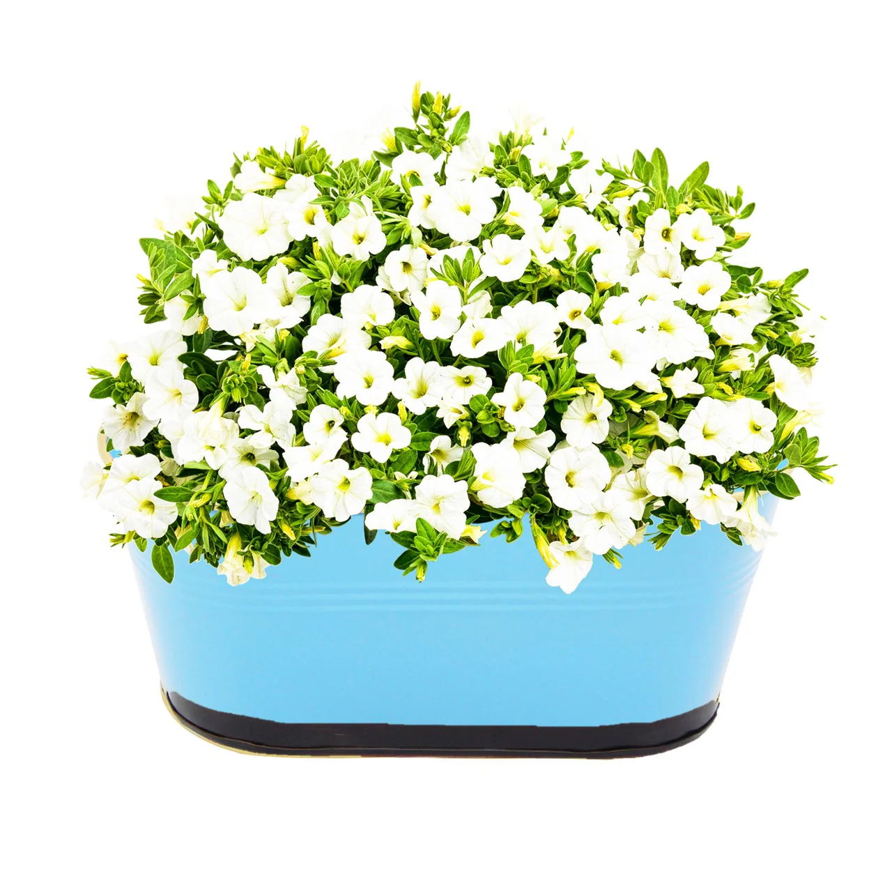 Oval Blue/Gold 10" Balcony Railing Planter - Image 3