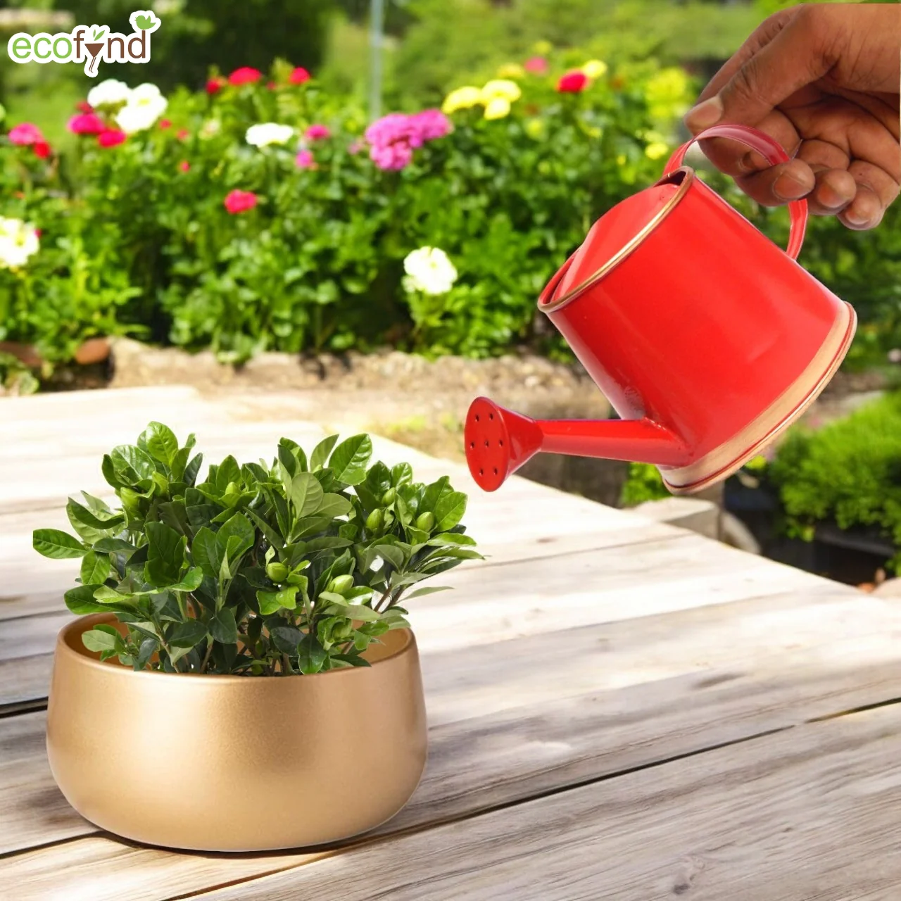 Red Watering Can for Kids 250 ml - Image 5