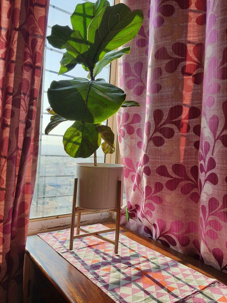 Centuria White Metal Plant Pot (Set of 3) - Image 4