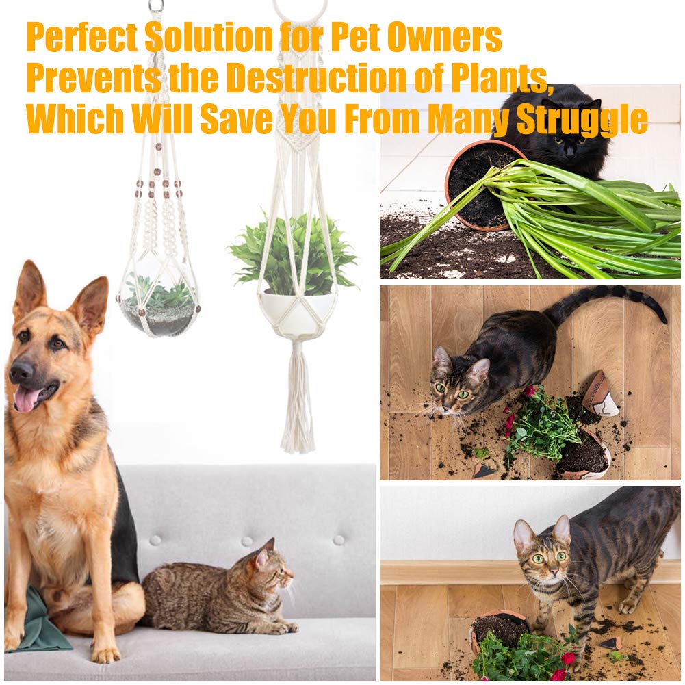 Spiral Macrame Plant Hanger - Image 8