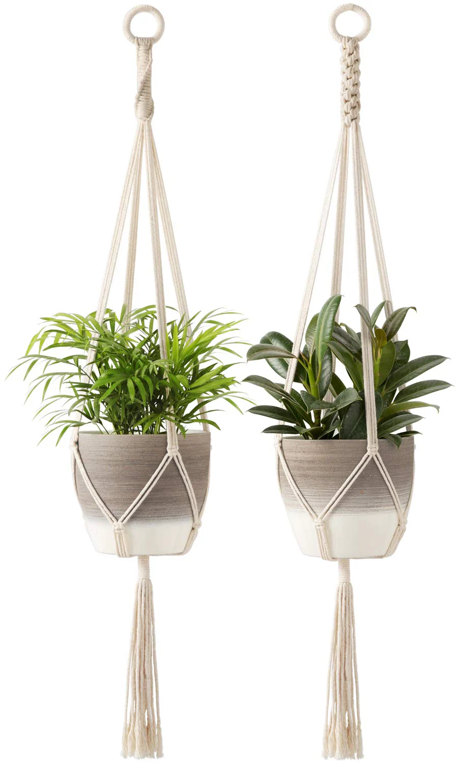 Macrame Cotton Plant Hanger (Set of 2) - Image 3