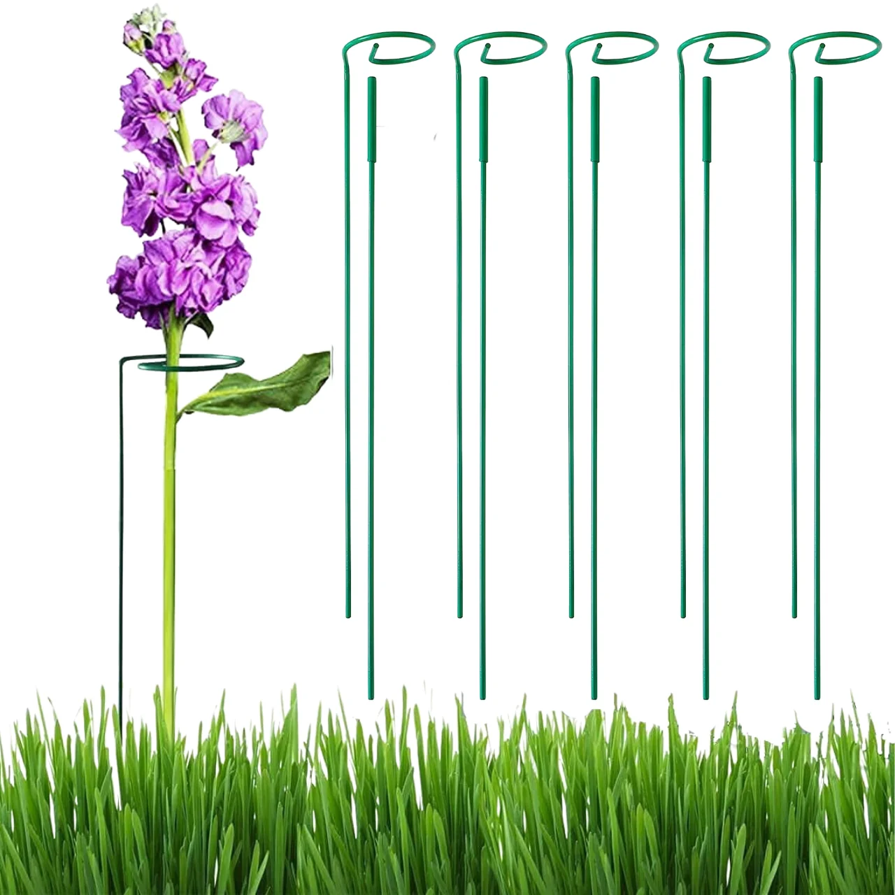 Ecofynd Metal Plant Stakes - Image 3