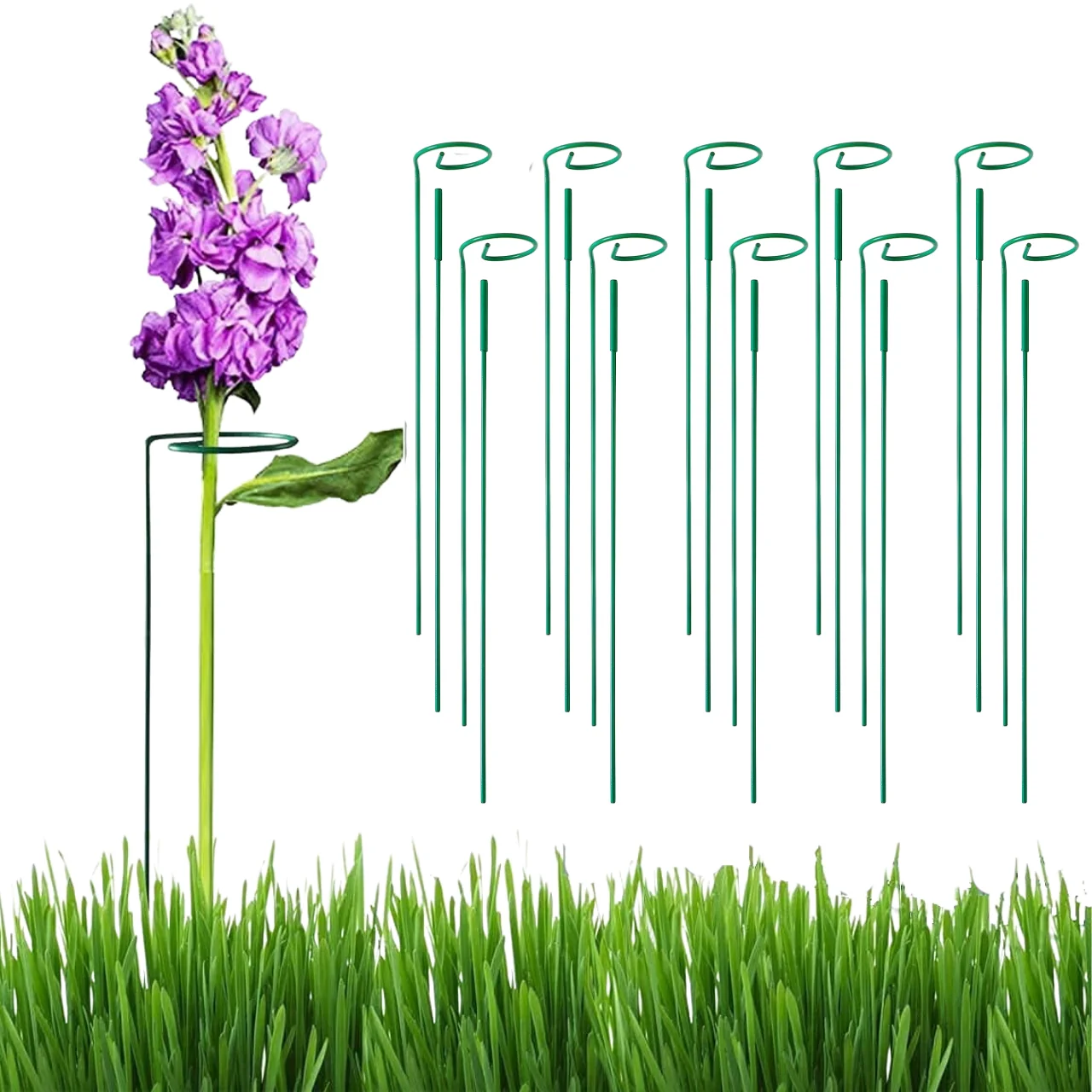 Ecofynd Metal Plant Stakes - Image 4