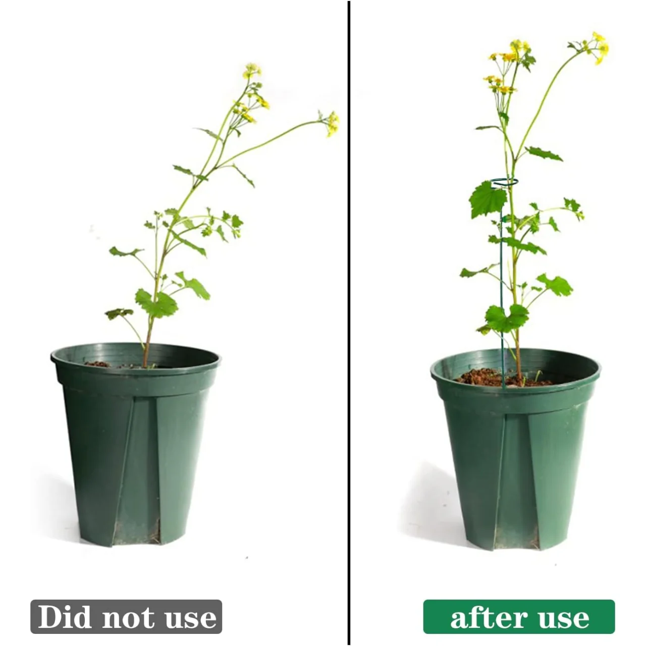 Ecofynd Metal Plant Stakes - Image 6