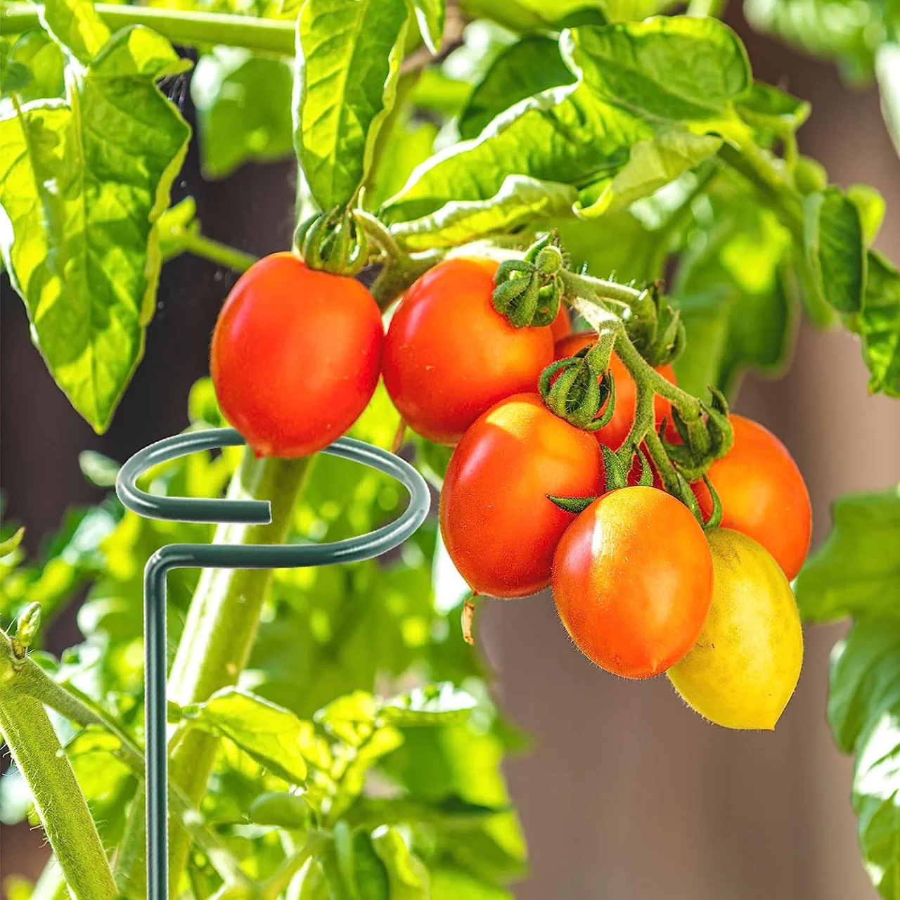 Ecofynd Metal Plant Stakes - Image 8