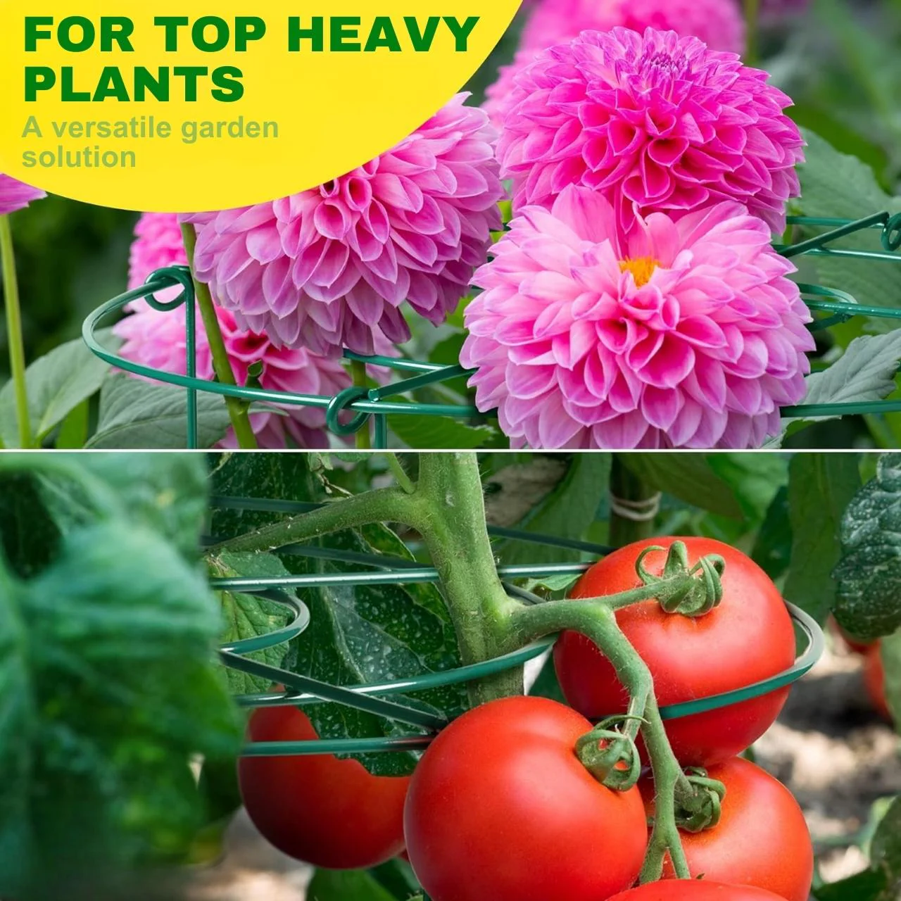 Ecofynd Metal Plant Stakes - Image 4