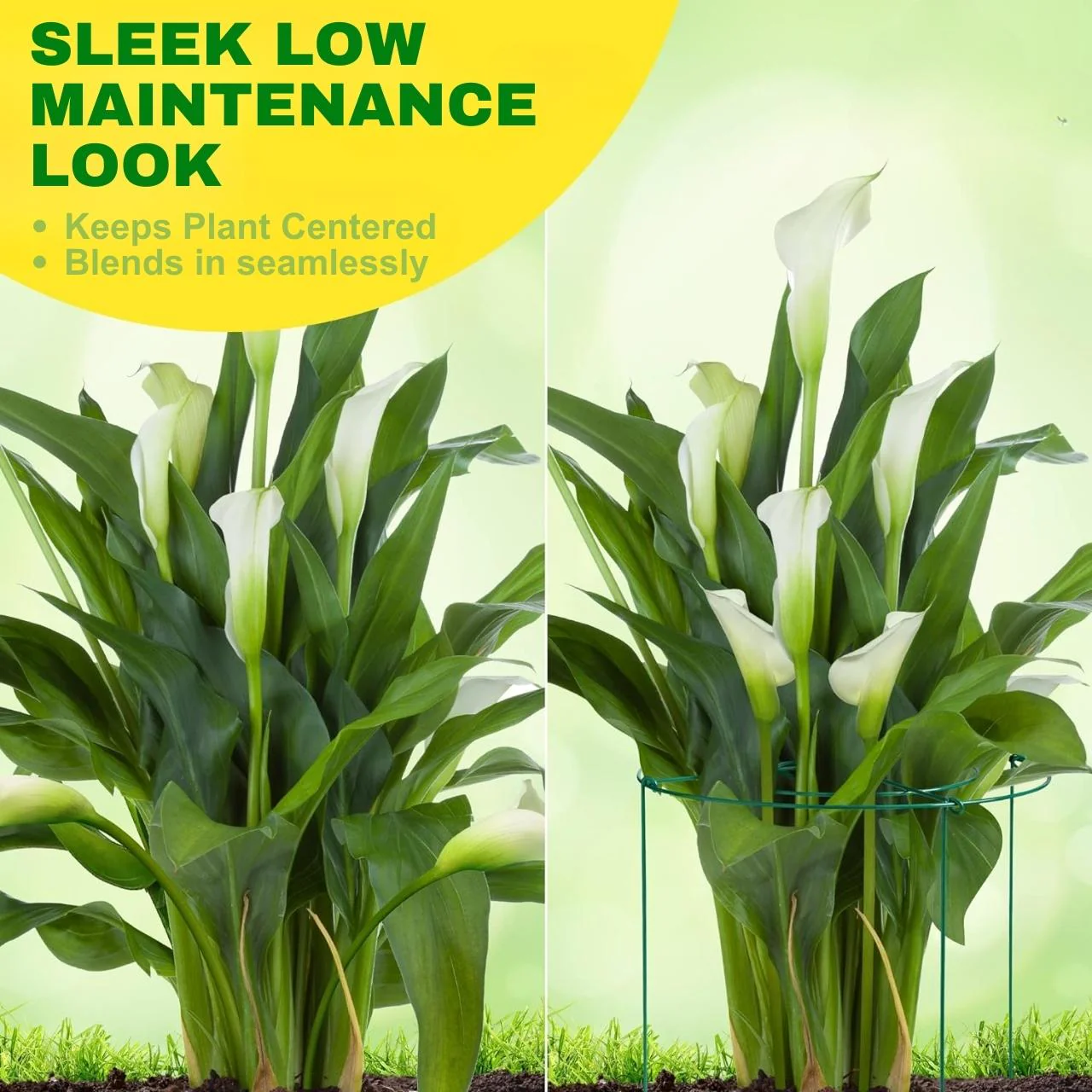 Ecofynd Metal Plant Stakes - Image 7