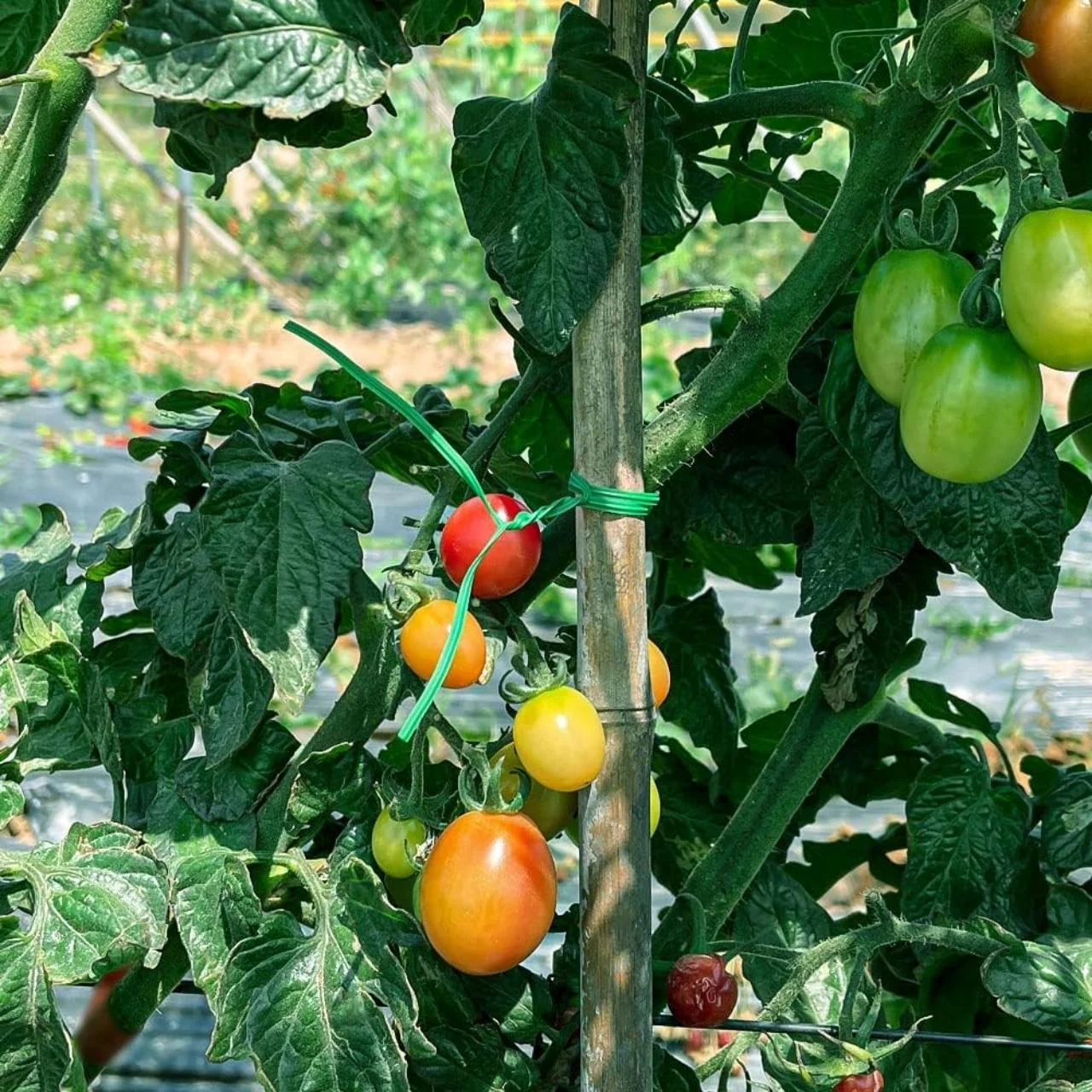 Ecofynd Plastic Twist Tie Wire - Image 5