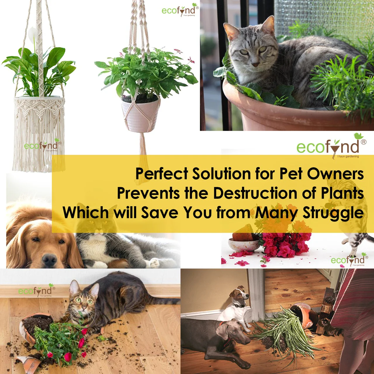 2-Tier Macrame Plant Hanger - Image 9