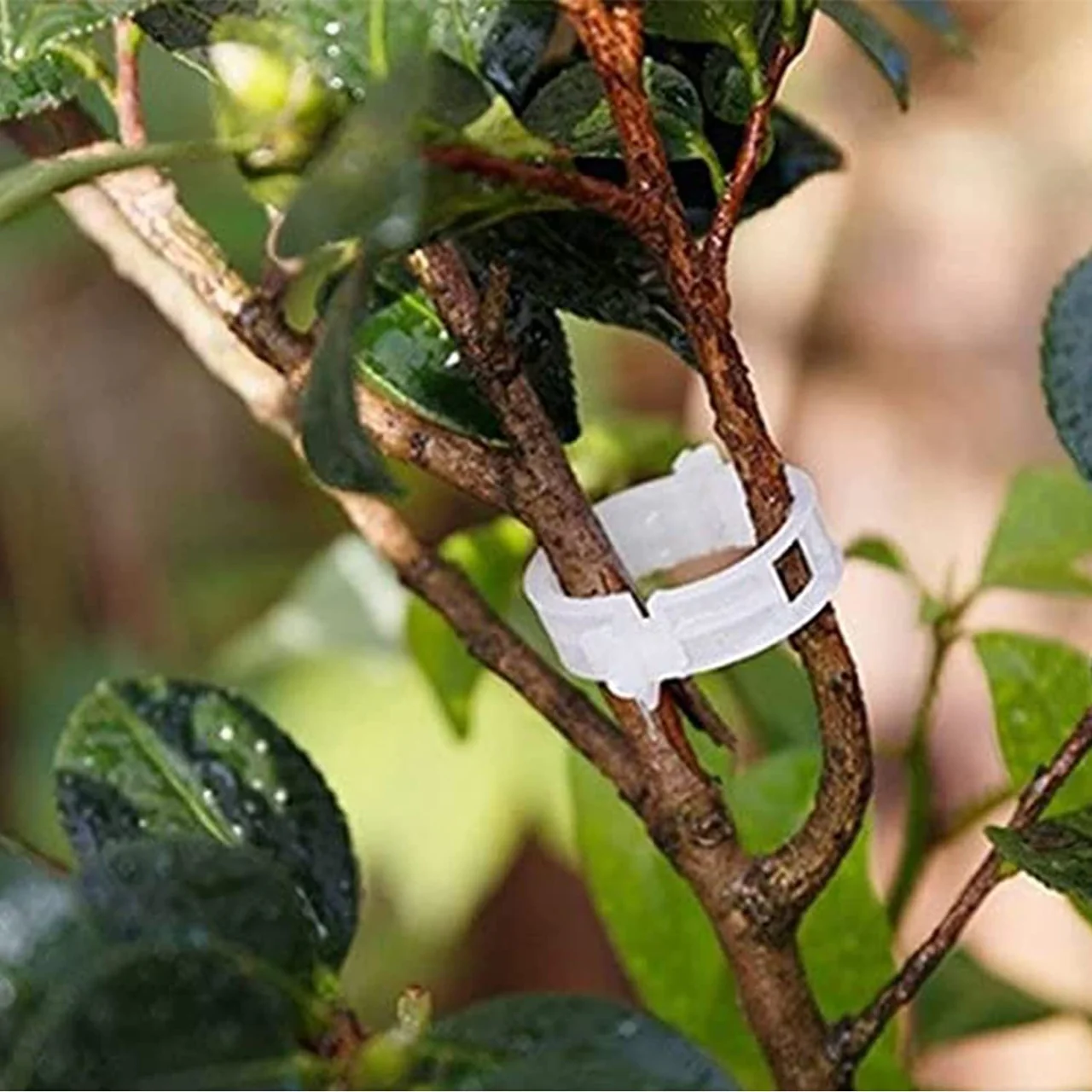Plant Support Garden Clips - Image 8