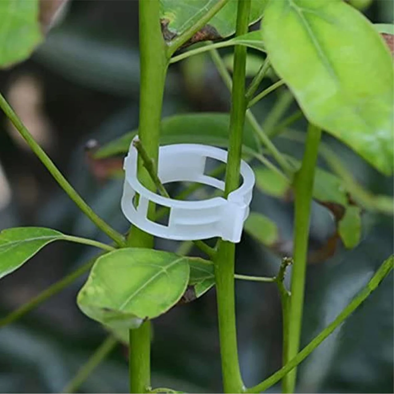 Plant Support Garden Clips - Image 9