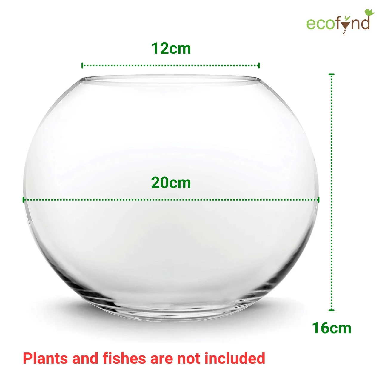 Crystal Clear Glass Terrarium Bowl – 8 Inch - Image 4
