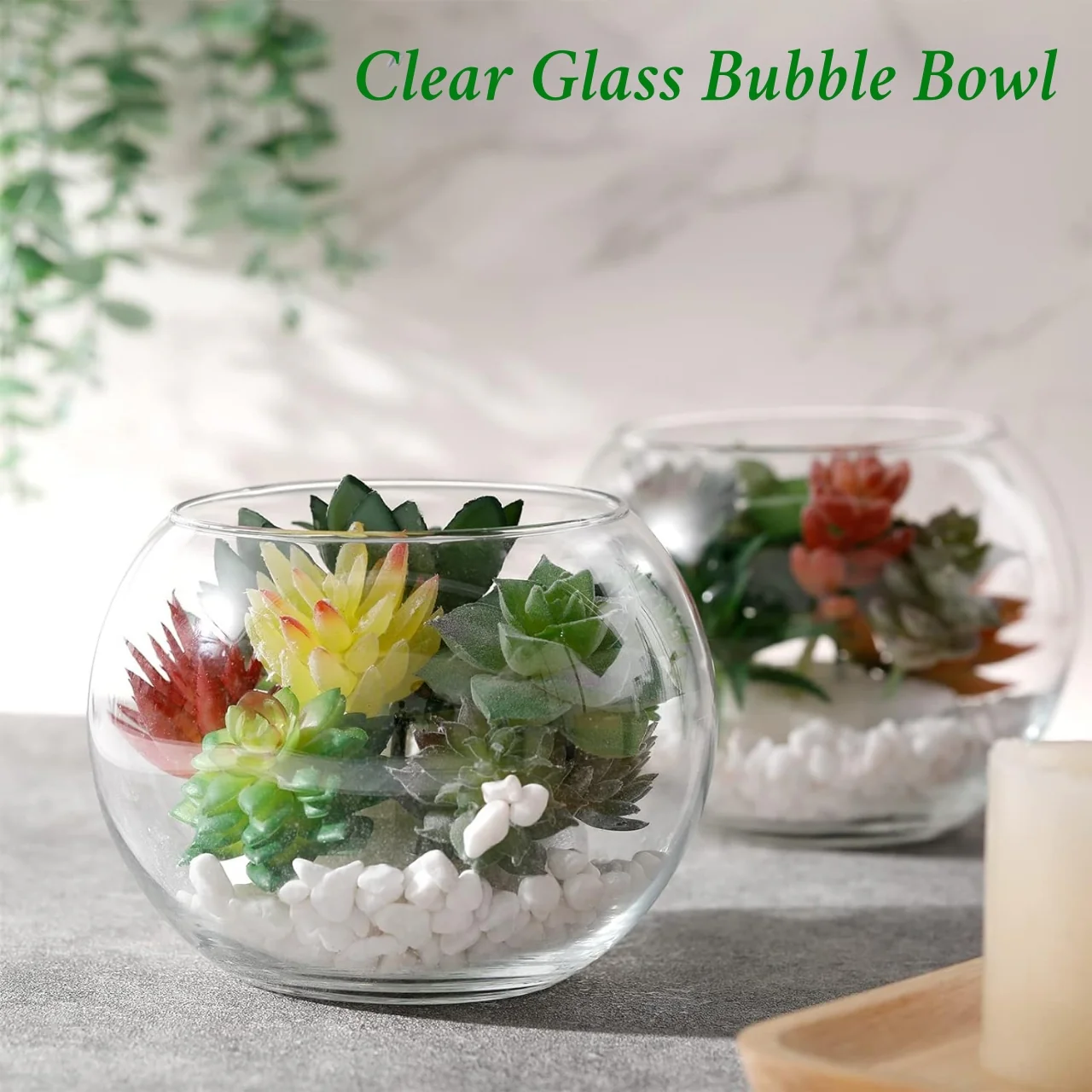 Crystal Clear Glass Terrarium Bowl – 8 Inch - Image 7
