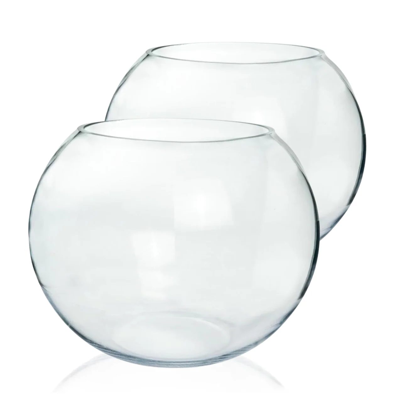 Crystal Clear Glass Terrarium Bowl – 8 Inch - Image 9
