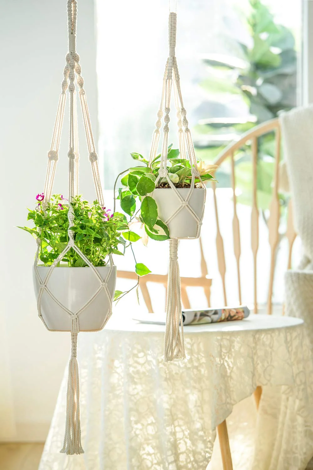 Twisted Macrame Plant Hanger - Image 3