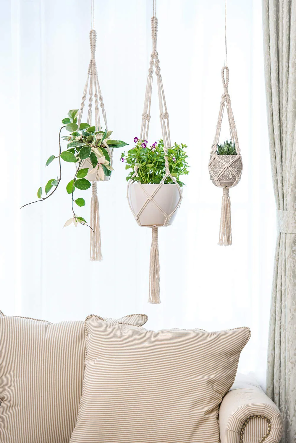 Twisted Macrame Plant Hanger - Image 8