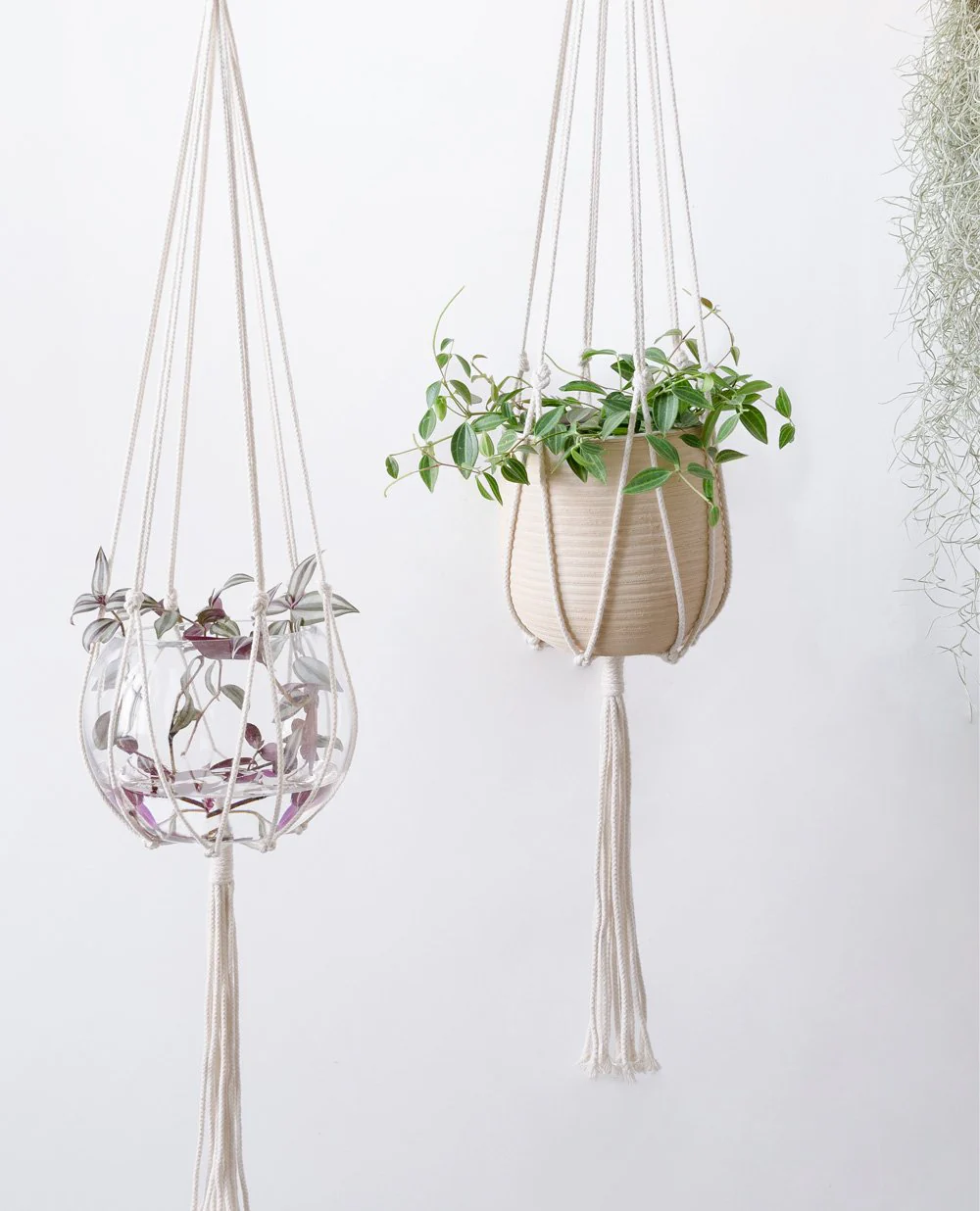Minimalist Macrame Plant Hanger - Image 3