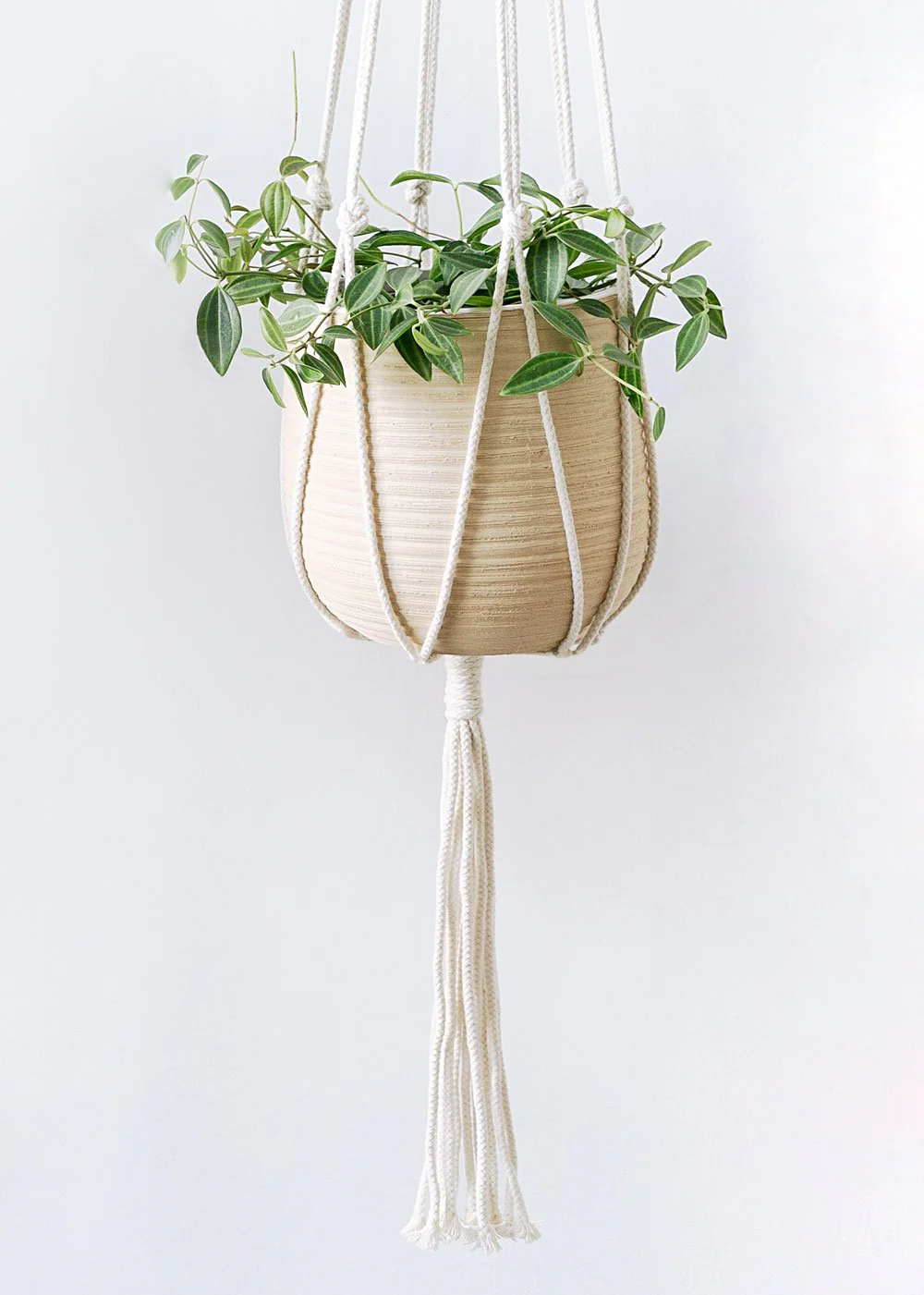 Minimalist Macrame Plant Hanger (Set of 2) - Image 4