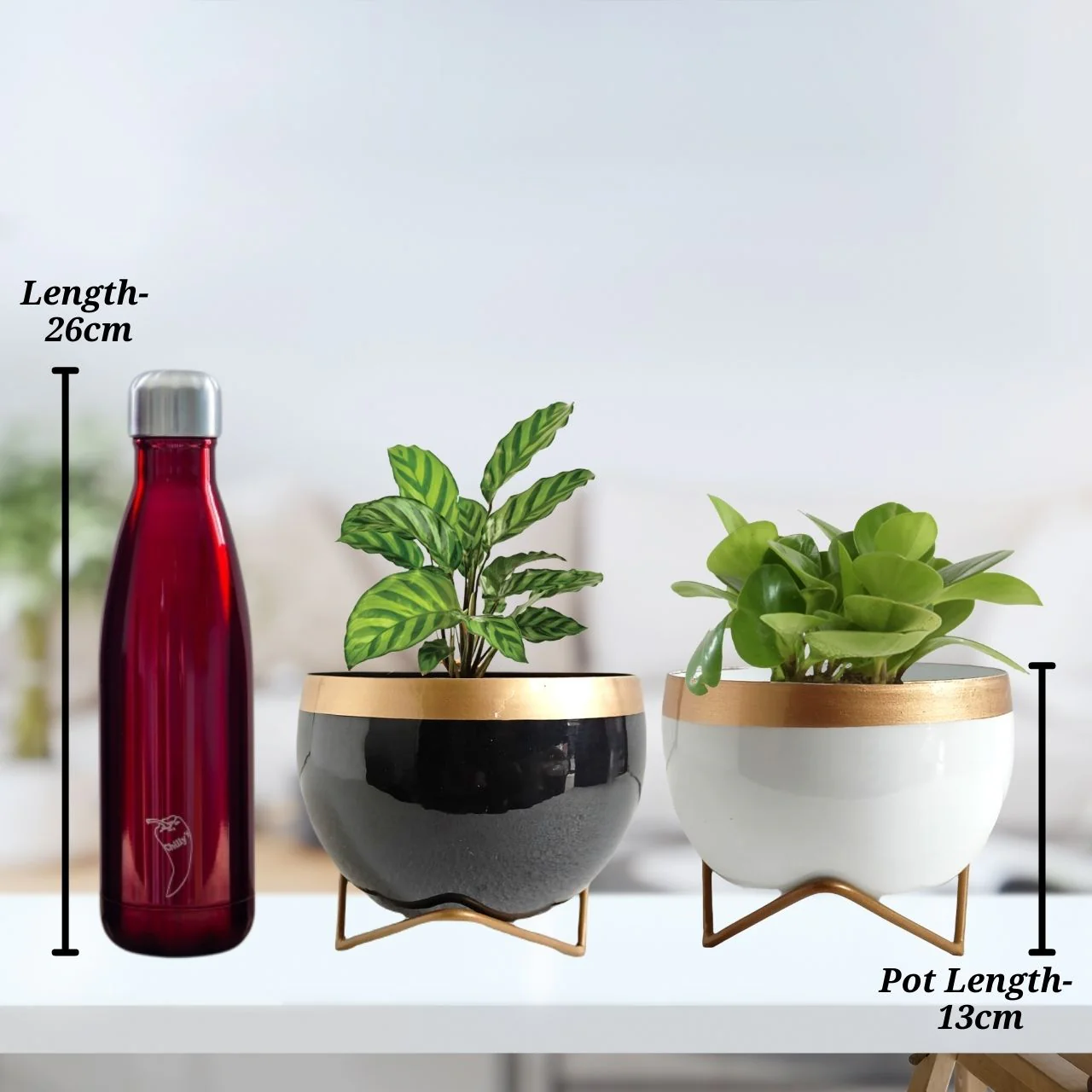 Metal Planter Pot with Gold Stand - Image 4