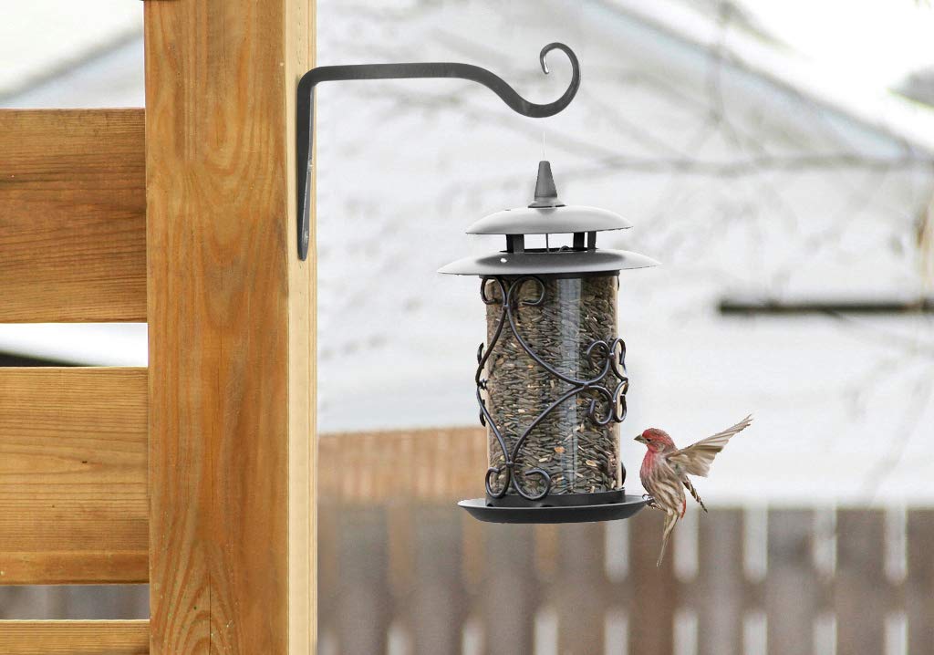 Metal Wall Plant Bracket - Image 5