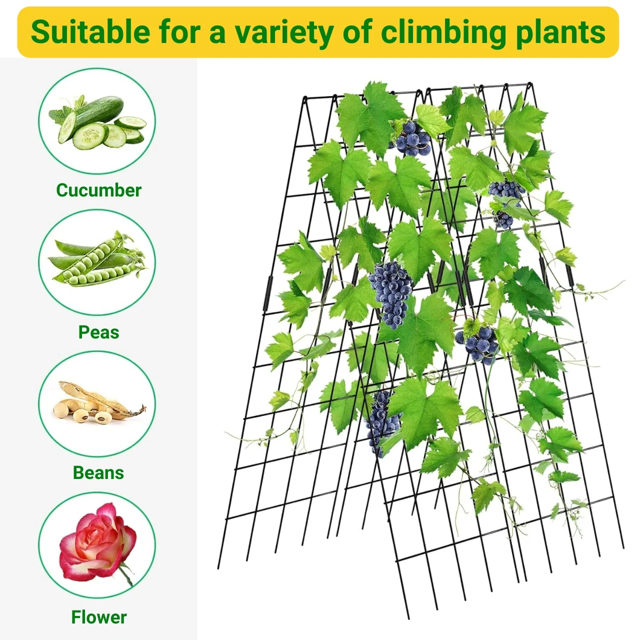 Foldable A-Frame Garden Trellis – Sturdy Metal Plant Support for Vines & Vegetables - Image 5