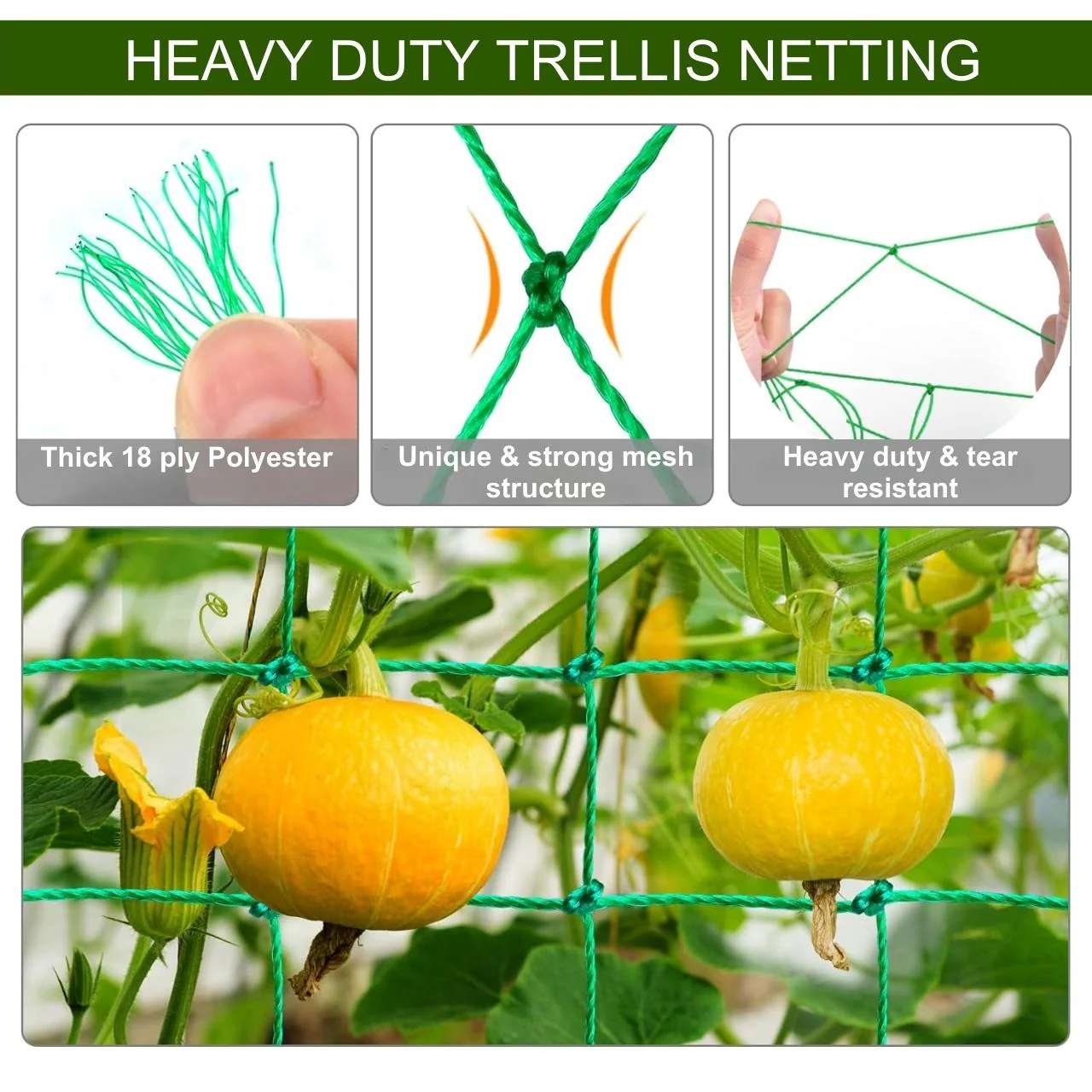 Tangle-Free Durable Garden Trellis Net (6x3 ft) – Boost Plant Growth - Image 3