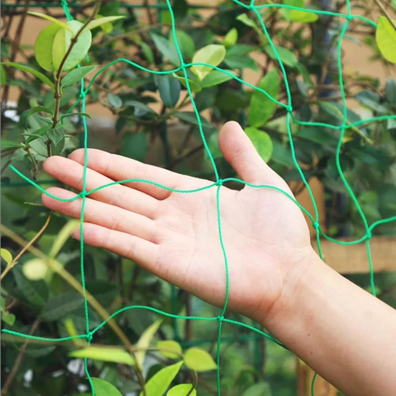 Tangle-Free Durable Garden Trellis Net (6x3 ft) – Boost Plant Growth - Image 7