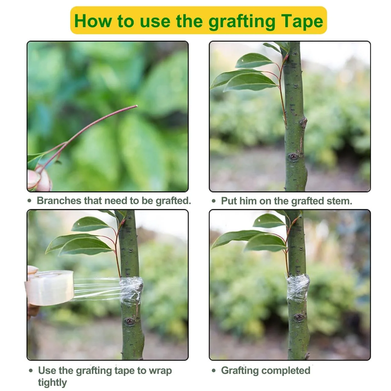 Grow Stronger: Eco-Friendly 1.1 inch Stretchable Grafting Tape - Image 6