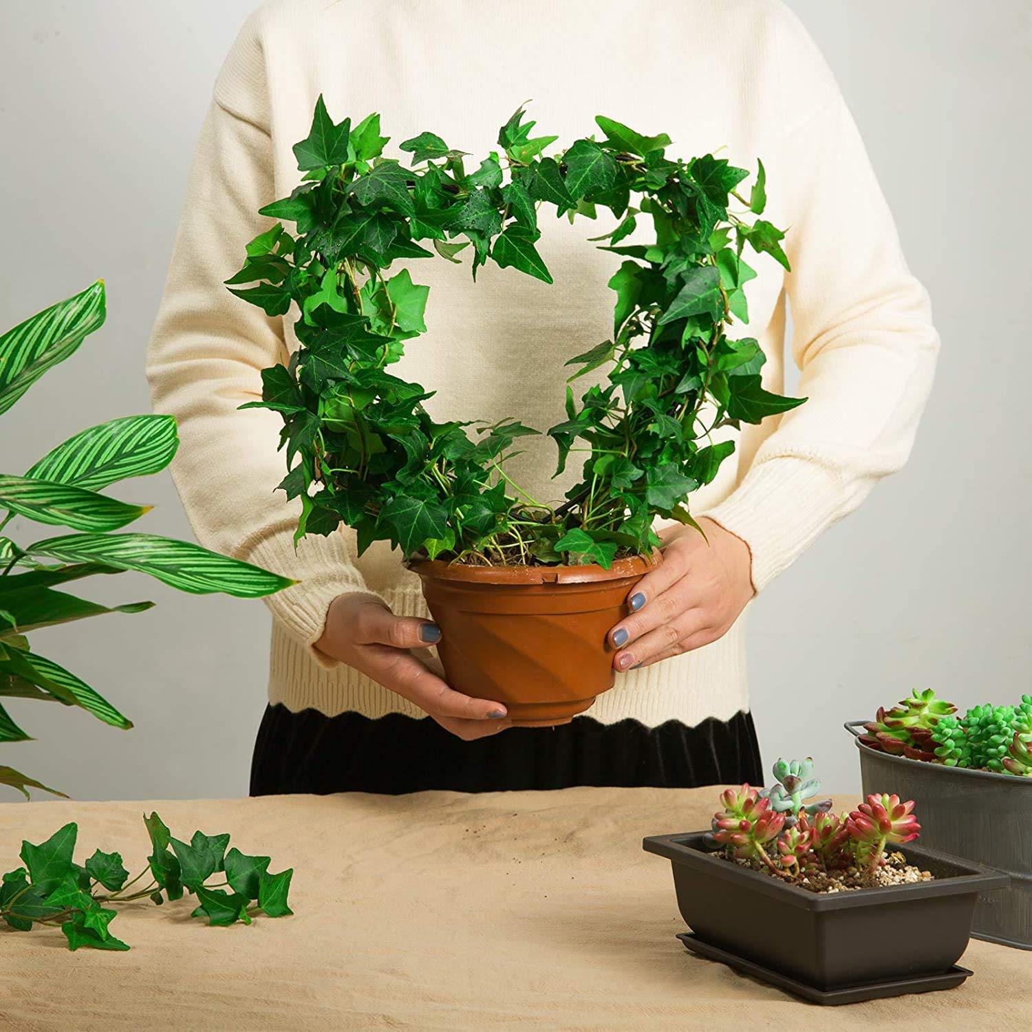 Heart Shaped Metal Garden Trellis - Image 7