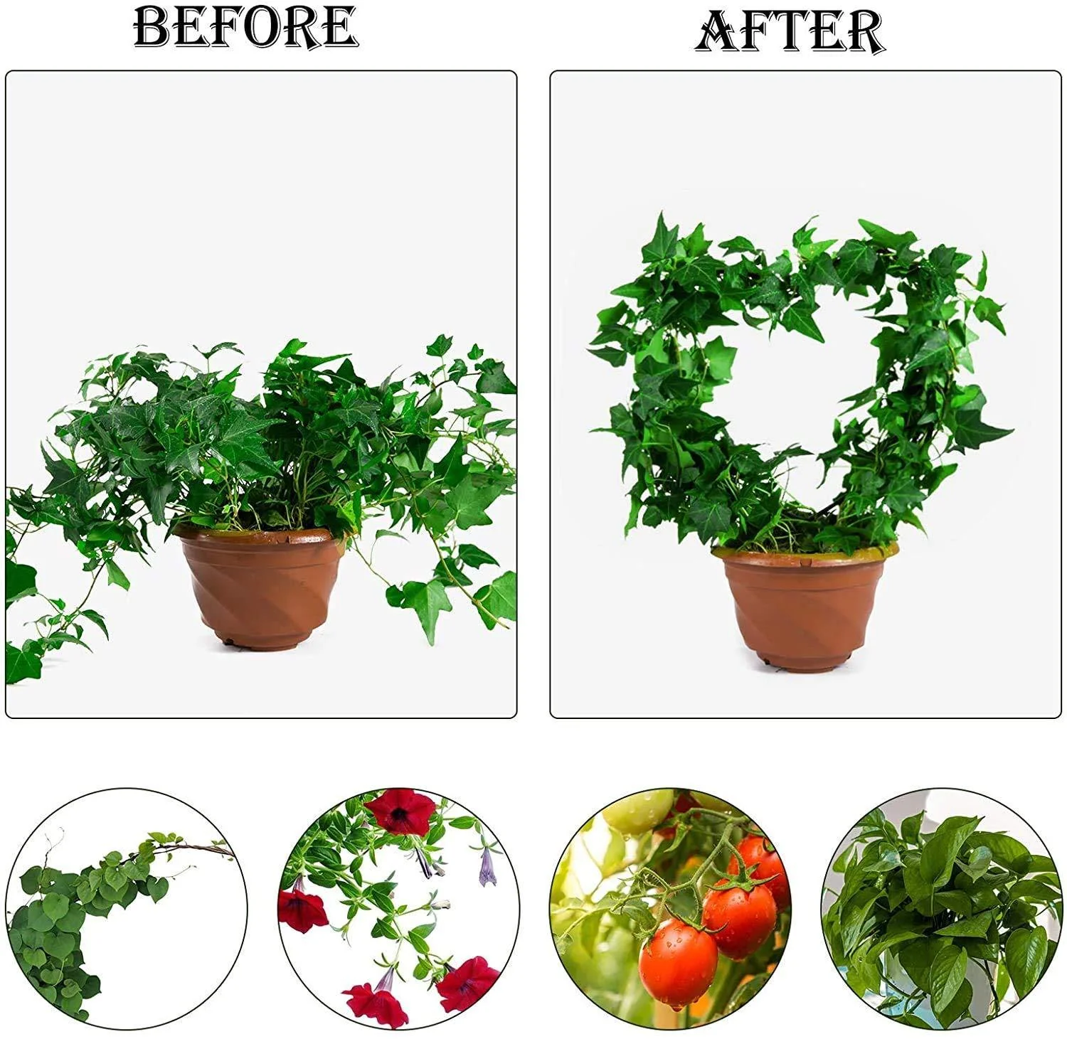 Heart Shaped Metal Garden Trellis - Image 8