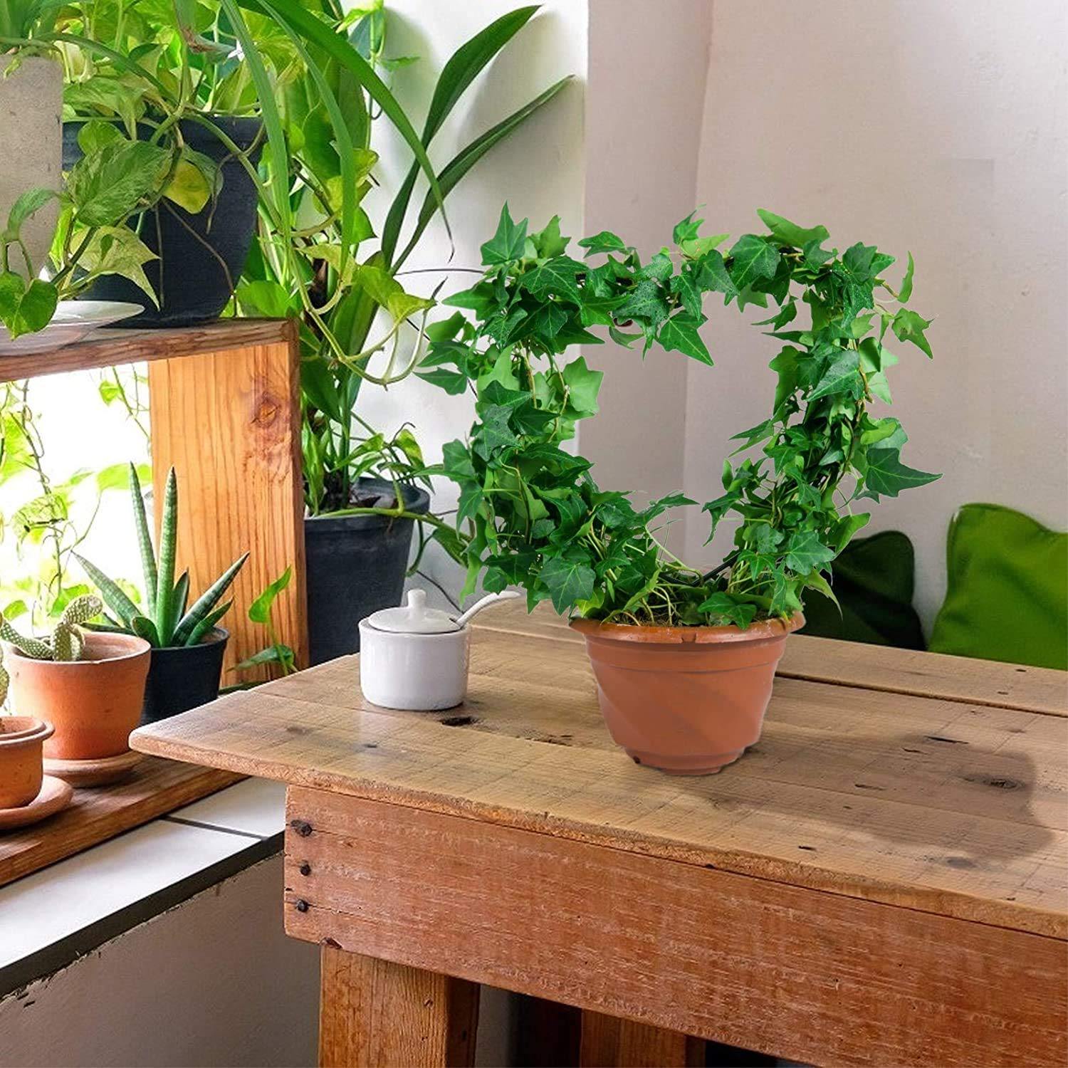 Heart Shaped Metal Garden Trellis - Image 9