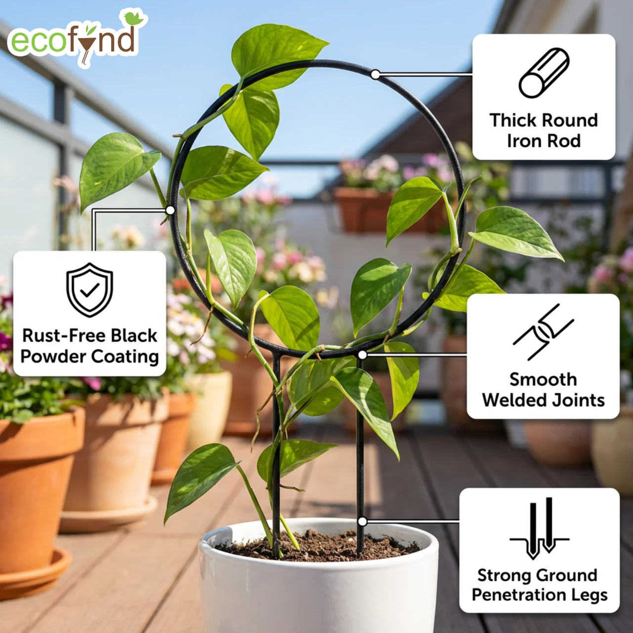 Black Iron Garden Trellis for Climbing Plants - Image 4