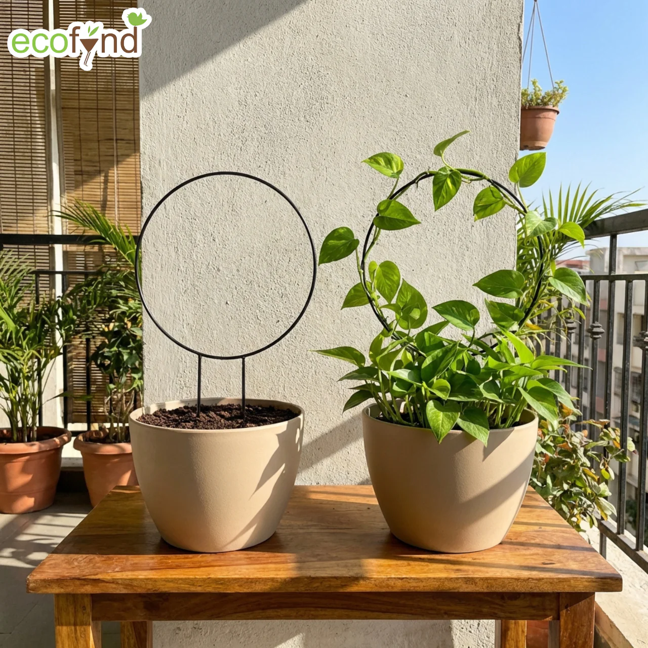 Black Iron Garden Trellis for Climbing Plants - Image 7