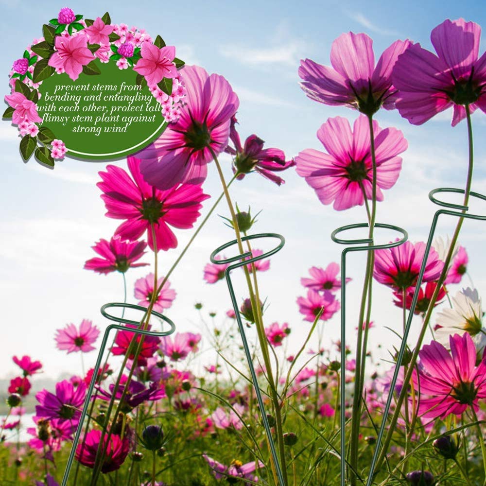 Ecofynd Metal Plant Stakes - Image 10